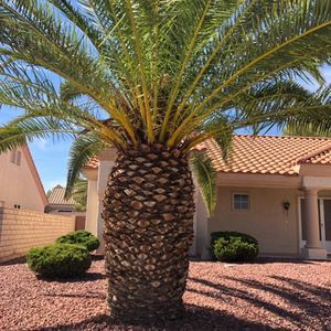 Meet your Posher, César